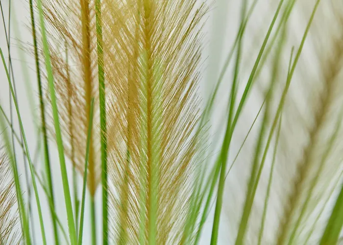 Gestade 4 * 베른카슈텔쿠에스